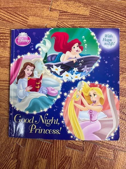 GOOD NIGHT, PRINCESS! (WITH FLAPS TO LIFT!)
