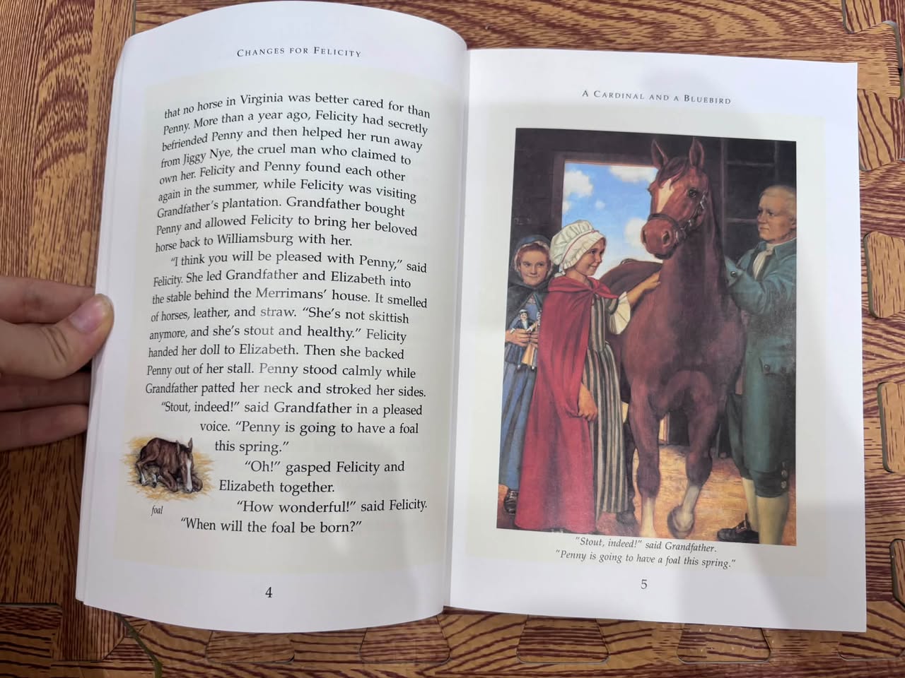 CHANGES FOR FELICITY: A WINTER STORY (THE AMERICAN GIRLS COLLECTION - BOOK 6) — ảnh 2