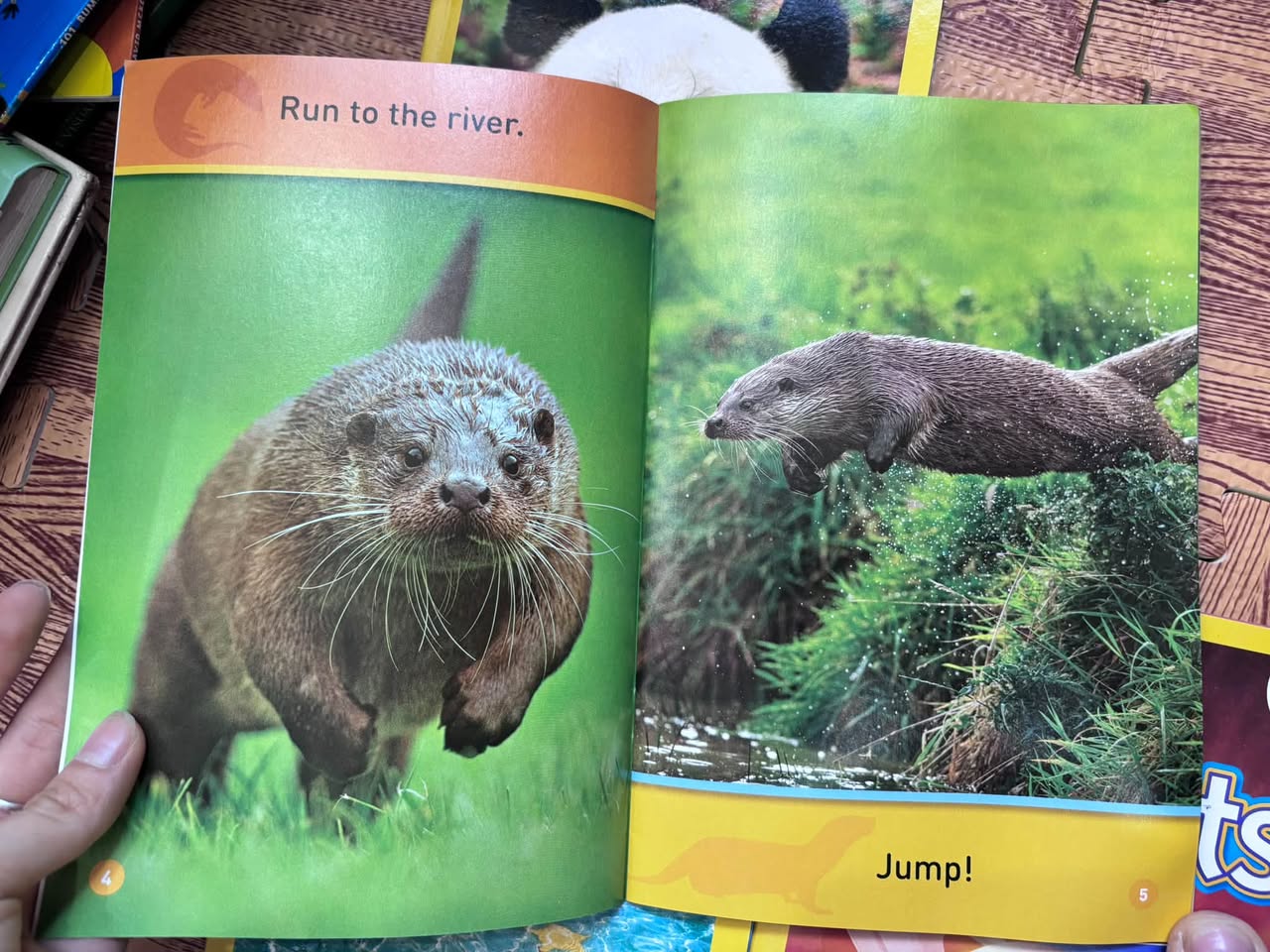 NATIONAL GEOGRAPHIC KIDS READERS (SET 4 CUỐN) — ảnh 4