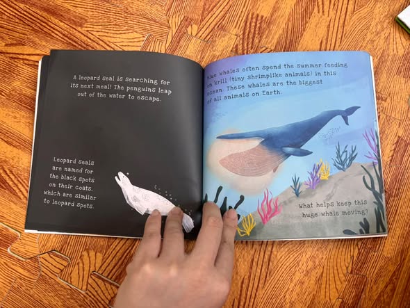 OCEANS: A SHINE-A-LIGHT BOOK  — ảnh 3