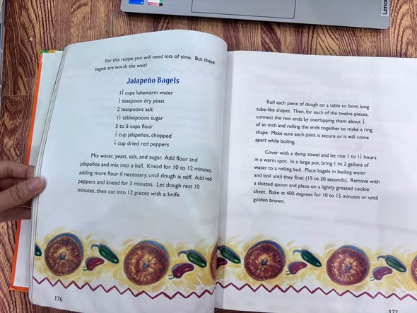 HOUGHTON MIFFLIN READING: DELIGHTS — ảnh 4