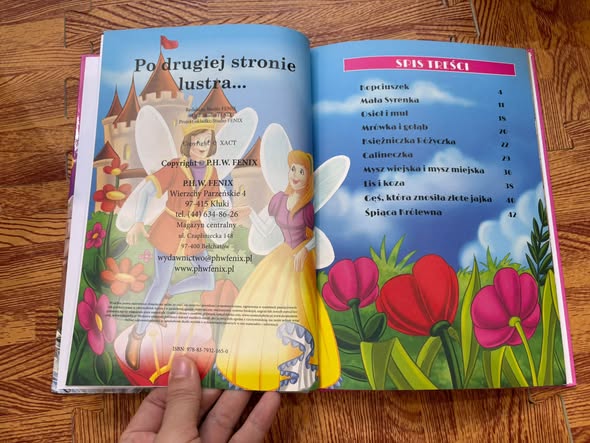 PO DRUGIEJ STRONIE LUSTRA... (SPOTKANIE Z BAJKĄ)   — ảnh 2