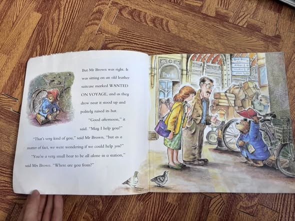 PADDINGTON BEAR — ảnh 2
