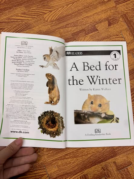 A BED FOR THE WINTER  — ảnh 4