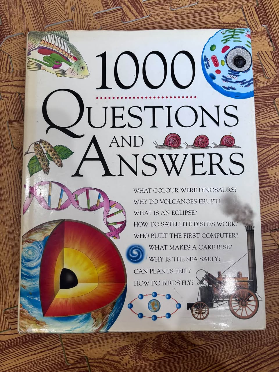 1000 QUESTIONS AND ANSWERS trắng