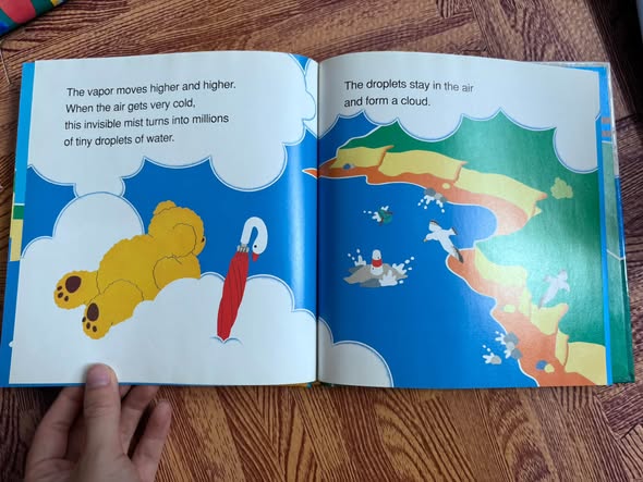 RAIN (BEAR FACTS) image 3