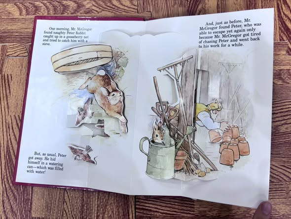 SET SÁCH DỰNG HÌNH POP-UP PETER RABBIT — ảnh 5