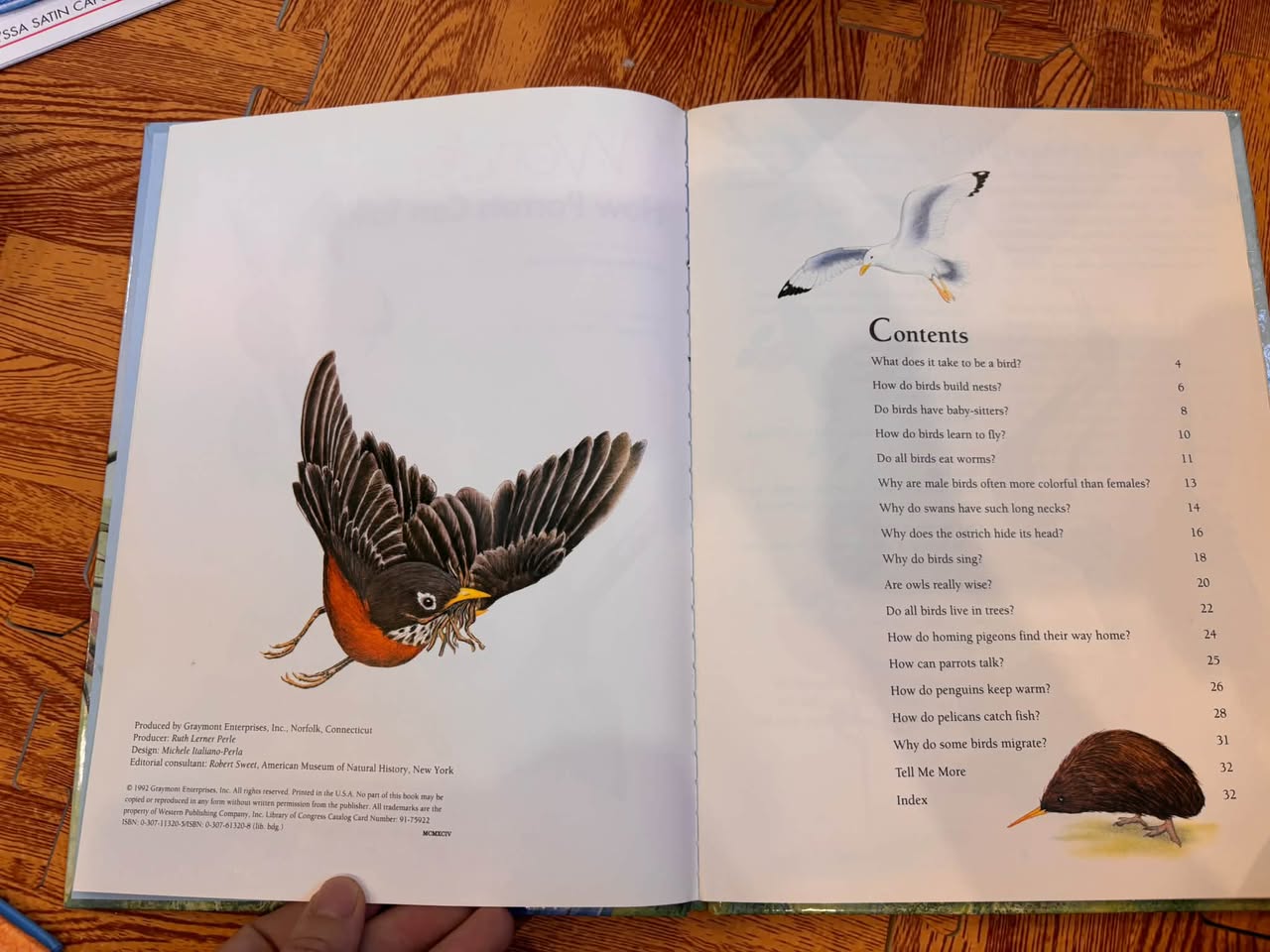 I WONDER HOW PARROTS CAN TALK AND OTHER NEAT FACTS ABOUT BIRDS — ảnh 3