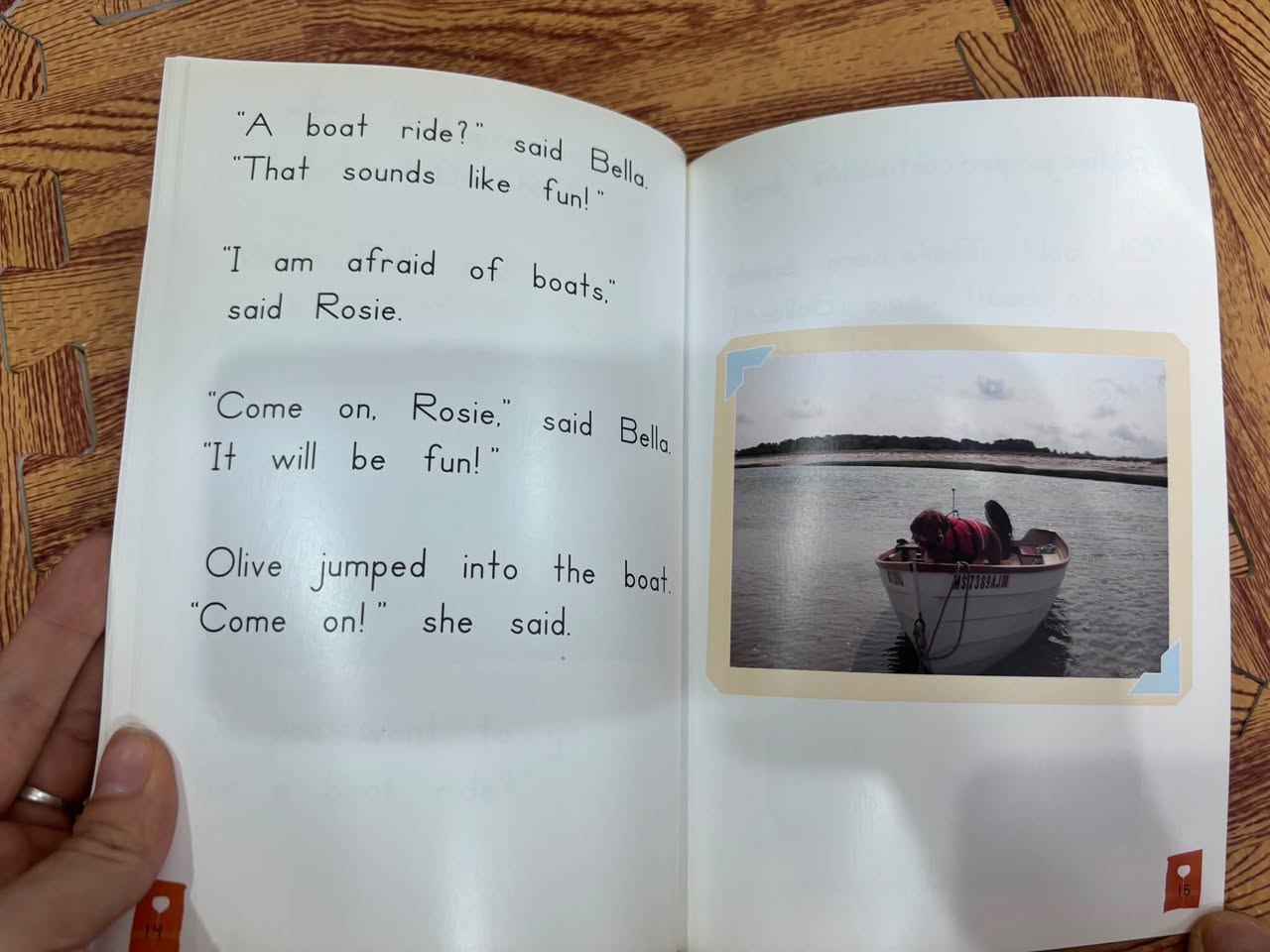 THE OCEAN — ảnh 5