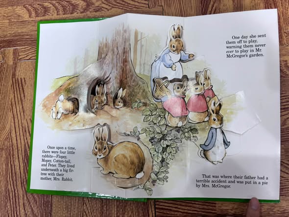 SET SÁCH DỰNG HÌNH POP-UP PETER RABBIT — ảnh 3