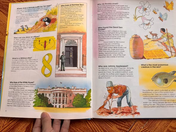 500 QUESTIONS AND ANSWERS: A TREASURY OF COLOURFUL AND FASCINATING FACTS   — ảnh 3