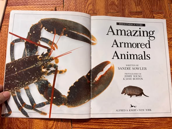 AMAZING ARMORED ANIMALS - EYEWITNESS JUNIORS 20 — ảnh 3