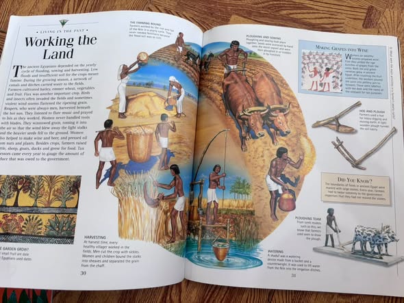DISCOVERIES: ANCIENT EGYPT — ảnh 5