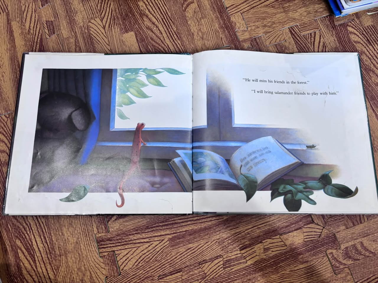THE SALAMANDER ROOM — ảnh 3