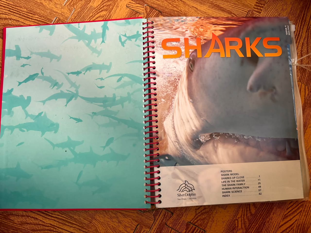 SHARKS: THE ULTIMATE GUIDE TO THE WORLD OF SHARKS — ảnh 2