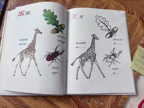 SÁCH HỌC BẢNG CHỮ CÁI TIẾNG NGA: АЗБУКА ДЛЯ САМЫХ МАЛЕНЬКИХ — ảnh 3