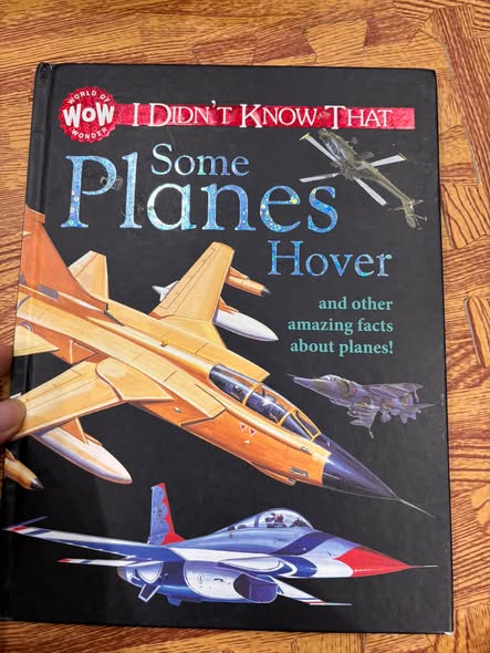 I DIDN'T KNOW THAT: SOME PLANES HOVER AND OTHER AMAZING FACTS ABOUT PLANES!  — ảnh 1