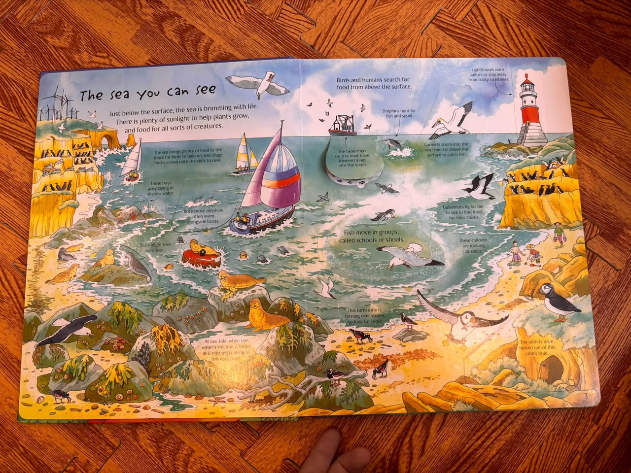 SEE UNDER THE SEA — ảnh 3