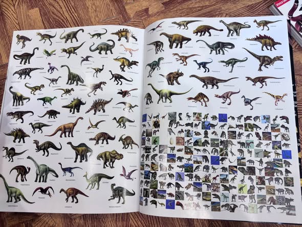 MY INCREDIBLE STICKER ATLAS: THE WORLD, ANIMALS, SPACE & DINOSAURS — ảnh 3