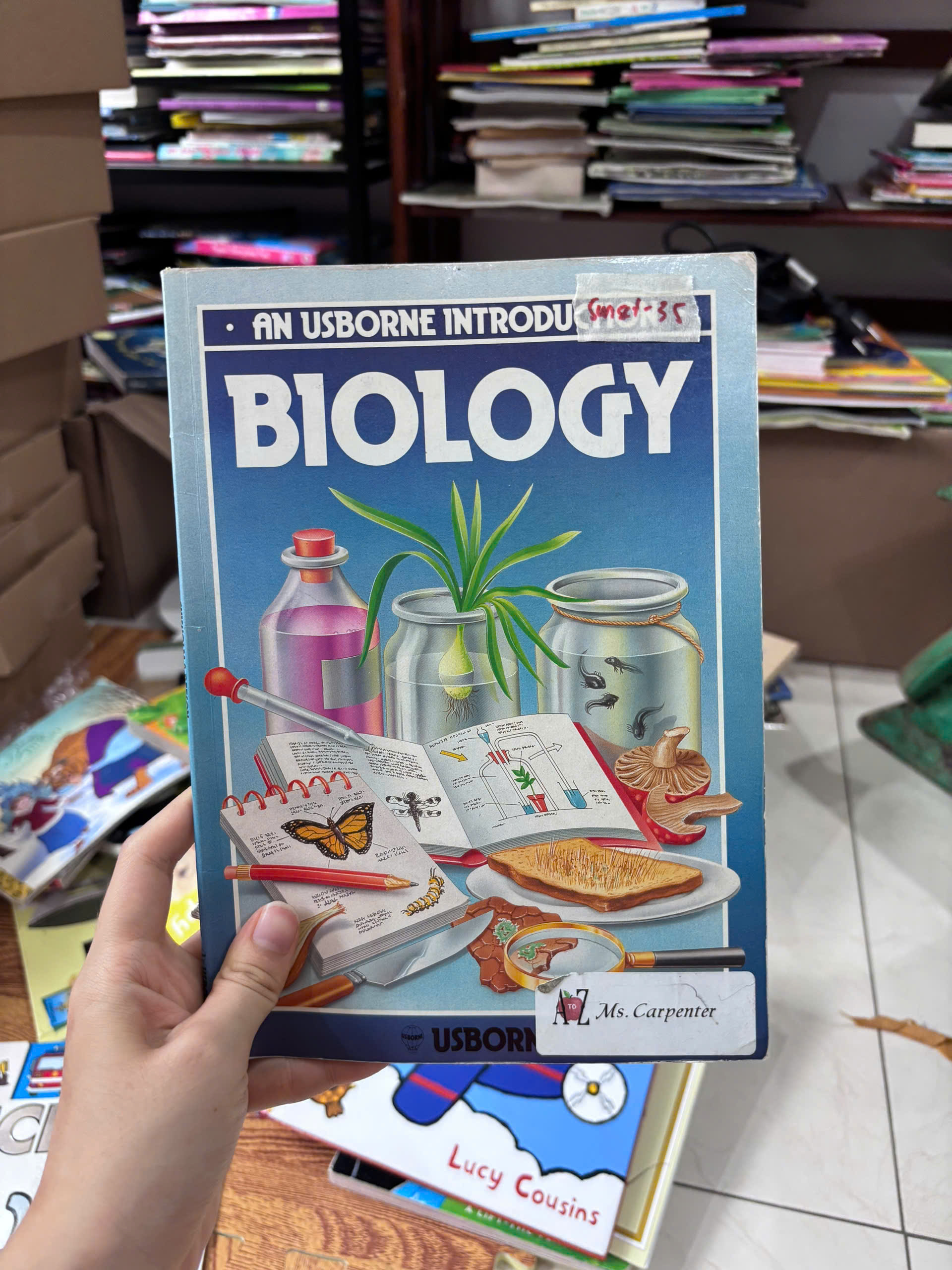 An Usborne Introduction: Biology