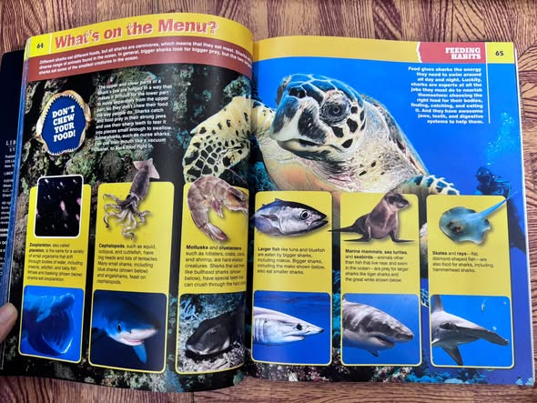 SHARKOPEDIA: THE COMPLETE GUIDE TO EVERYTHING SHARK — ảnh 2