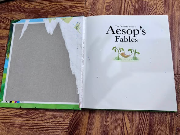 THE ORCHARD BOOK OF AESOP'S FABLES (10TH ANNIVERSARY EDITION) image 2