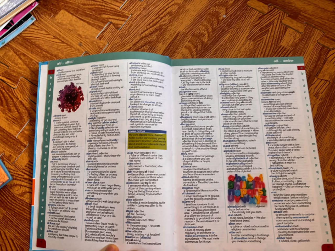 OXFORD ILLUSTRATED CHILDREN'S DICTIONARY & THESAURUS — ảnh 3