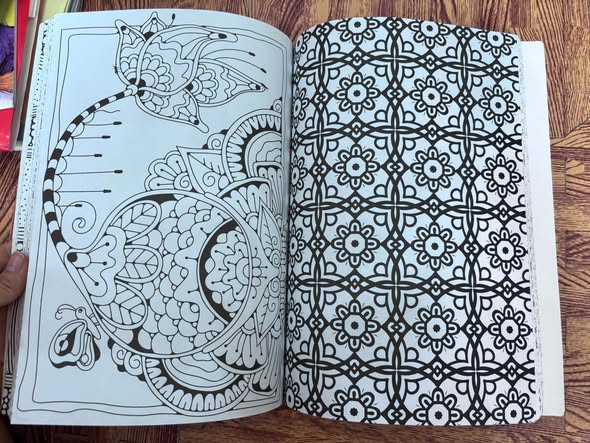 ADULT COLOURING BOOK (160 COLOURING PAGES) — ảnh 2