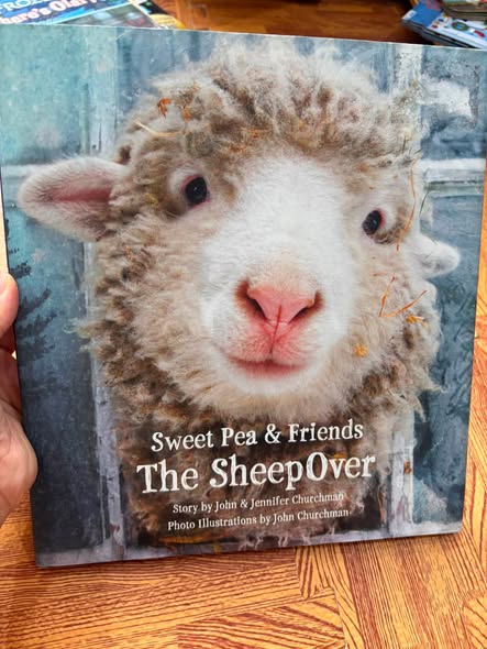SWEET PEA & FRIENDS: THE SHEEPOVER 