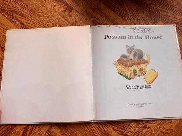 POSSUM IN THE HOUSE  — ảnh 3