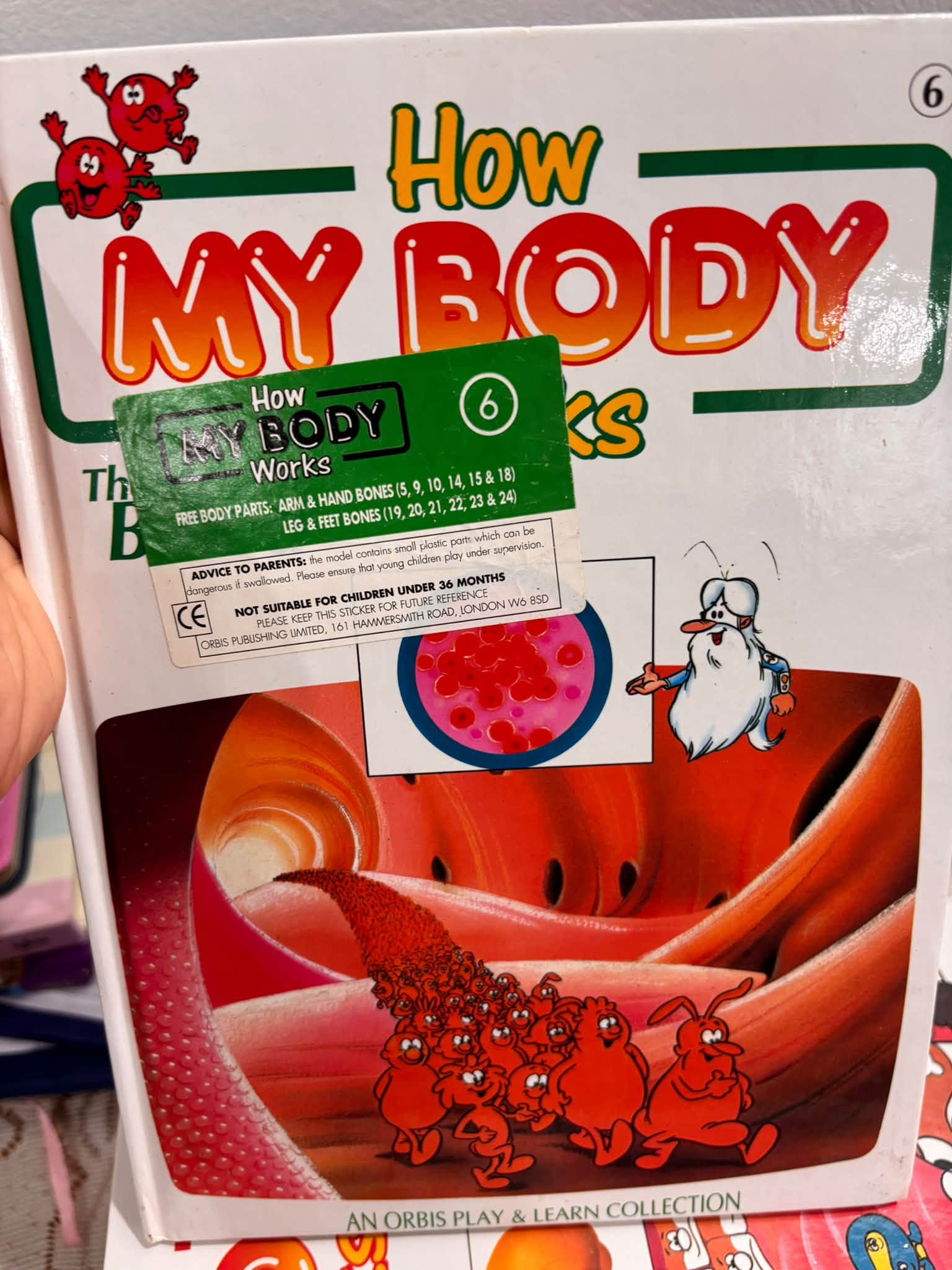 SERIES BÁCH KHOA SINH HỌC: HOW MY BODY WORKS  image 8