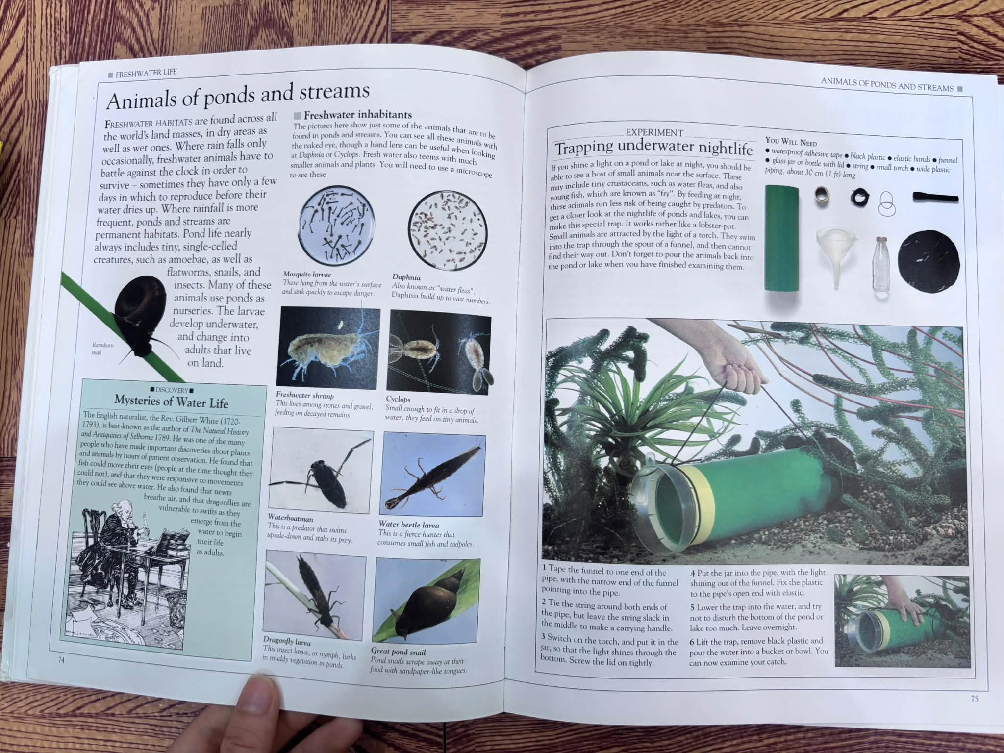 EYEWITNESS SCIENCE GUIDES: HOW NATURE WORKS — ảnh 5