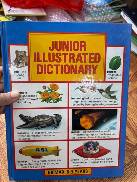 JUNIOR ILLUSTRATED DICTIONARY (BRIMAX)