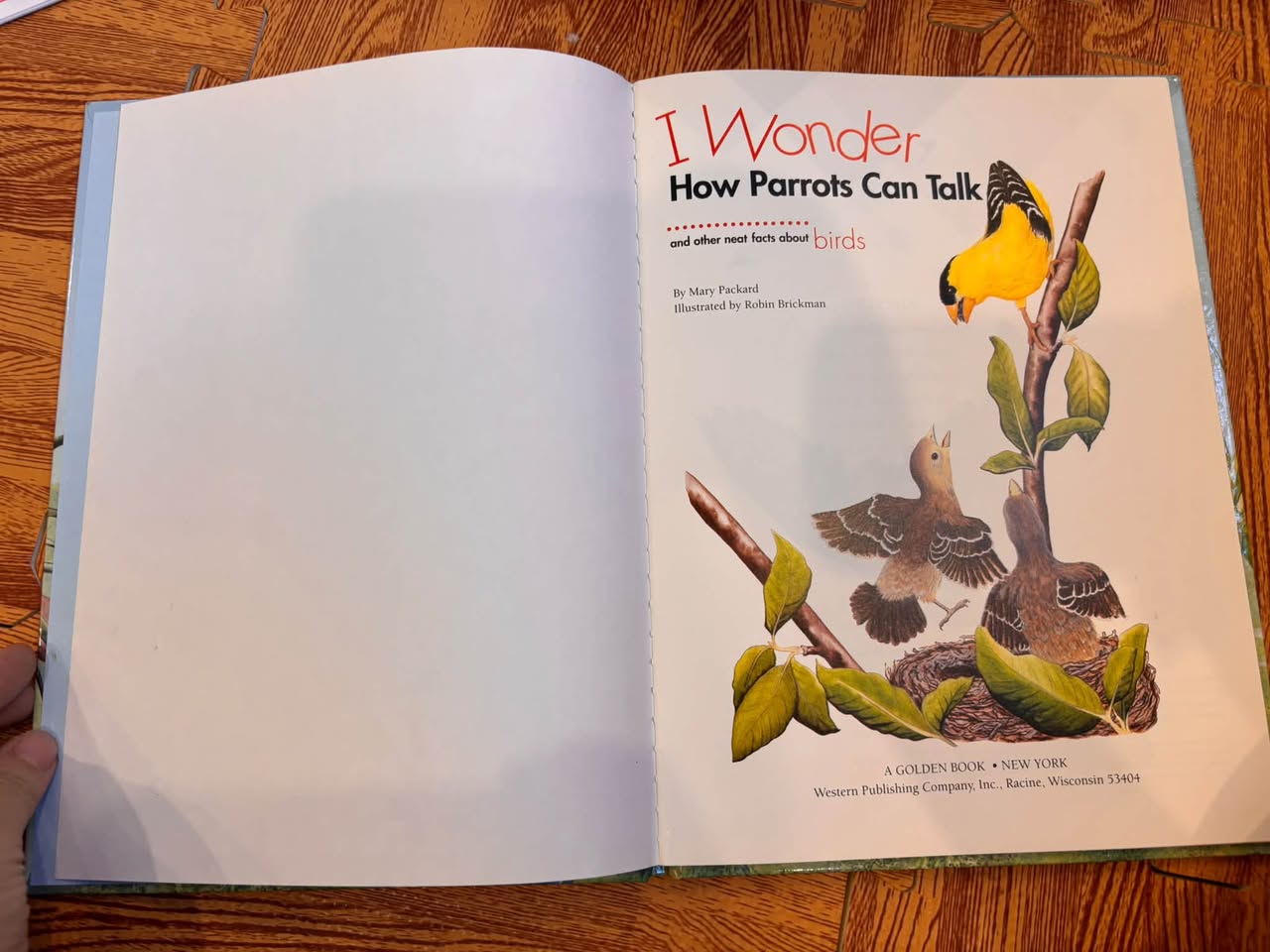 I WONDER HOW PARROTS CAN TALK AND OTHER NEAT FACTS ABOUT BIRDS — ảnh 2