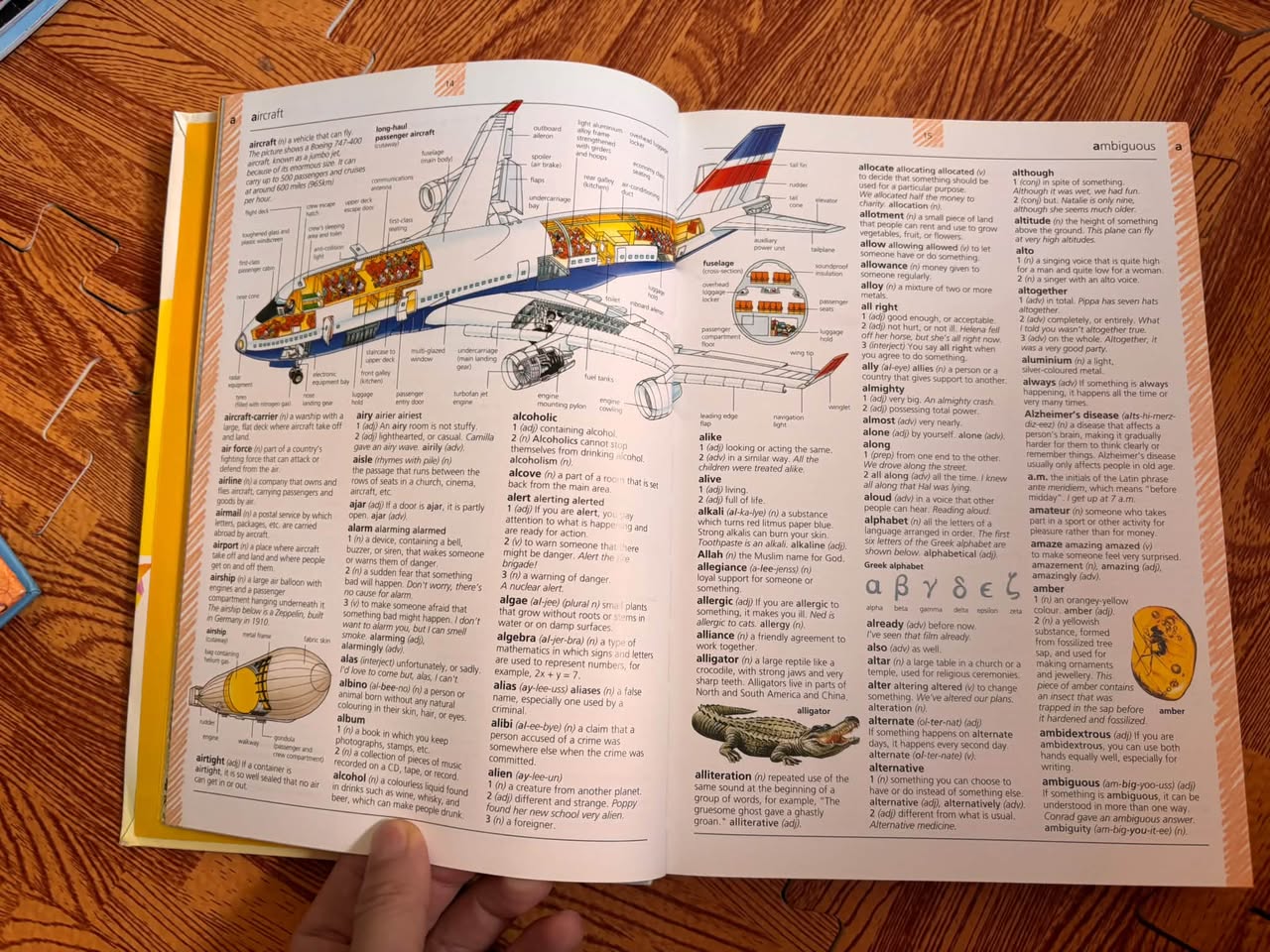 THE USBORNE ILLUSTRATED ENGLISH DICTIONARY (DICTIONARY 4 LIFE) — ảnh 4
