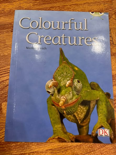 COLOURFUL CREATURES  — ảnh 1