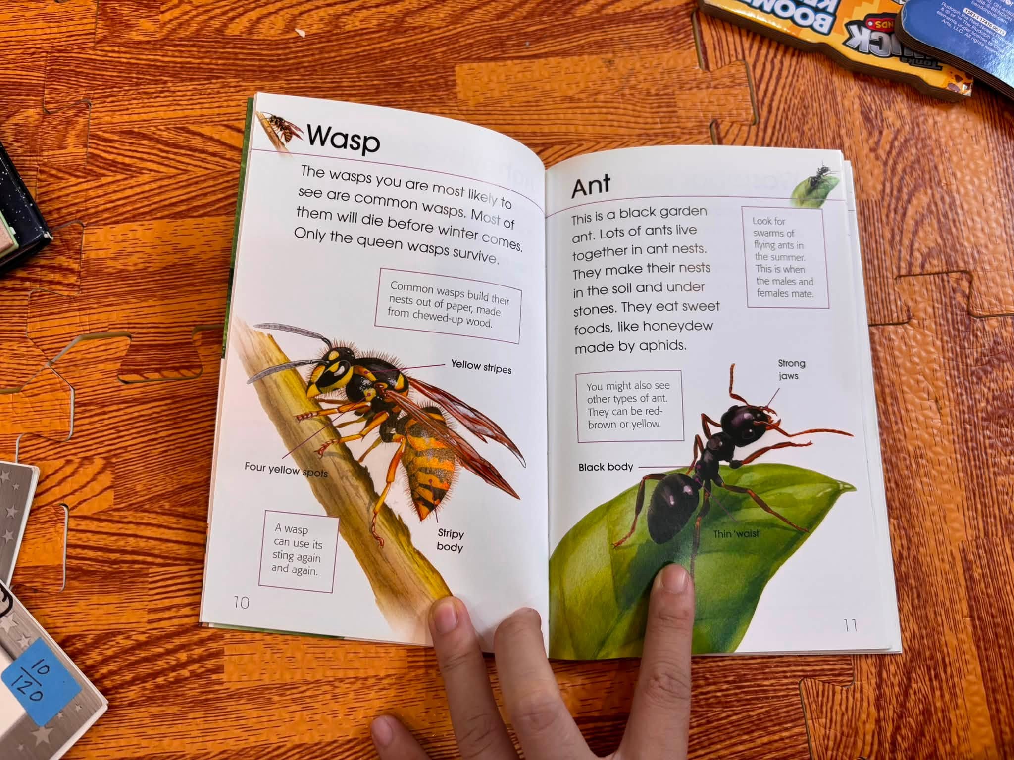 RSPB FIRST BOOK OF MINIBEASTS image 4