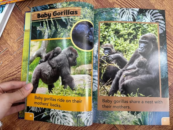 SMITHSONIAN READERS: READ WITH ME! (PRE-LEVEL 1) — ảnh 5