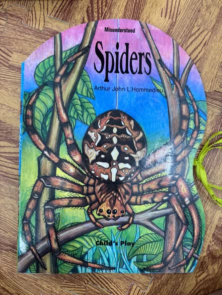 SÁCH KHÁM PHÁ THIÊN NHIÊN SHAPED BOOK: MISUNDERSTOOD SPIDERS image 1