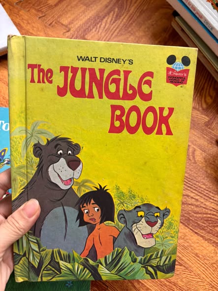 9 DISNEY'S WONDERFUL WORLD OF READING (WALT DISNEY PRODUCTIONS) — ảnh 7