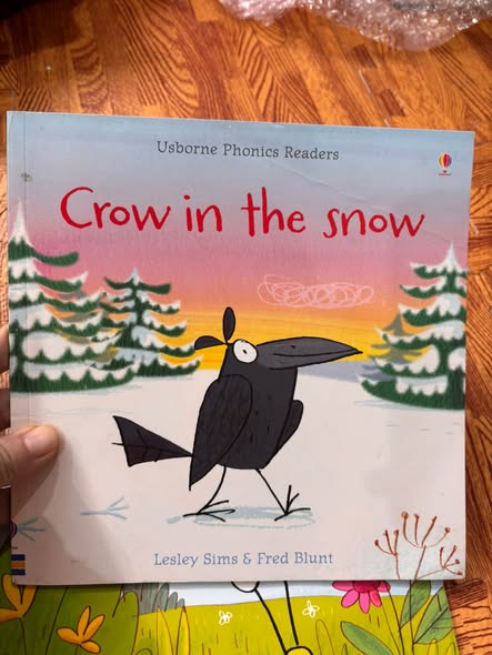 USBORNE PHONICS READERS: CROW IN THE SNOW image 2