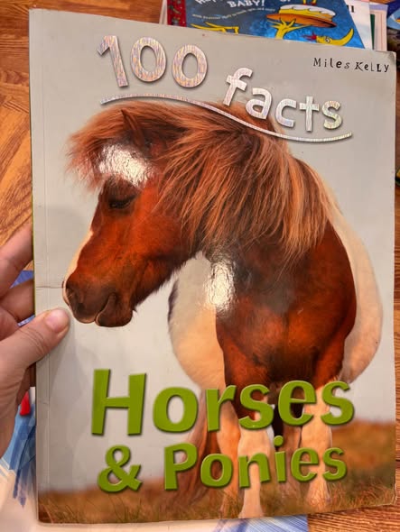 SERIES BÁCH KHOA 100 FACTS image 3