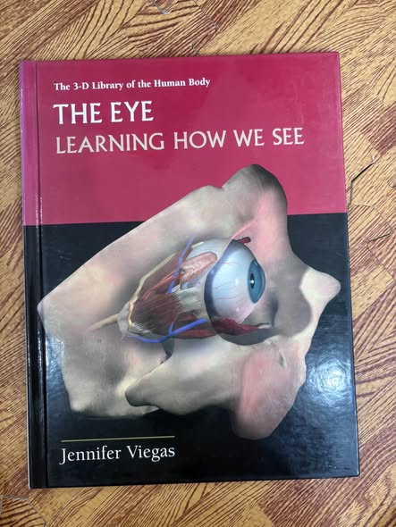 THE EYE: LEARNING HOW WE SEE