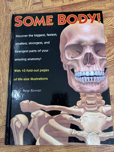 SOME BODY! — ảnh 1