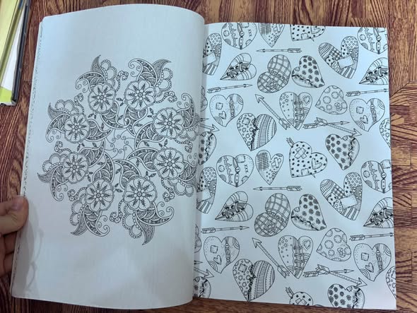 ADULT COLOURING BOOK (160 COLOURING PAGES) — ảnh 5