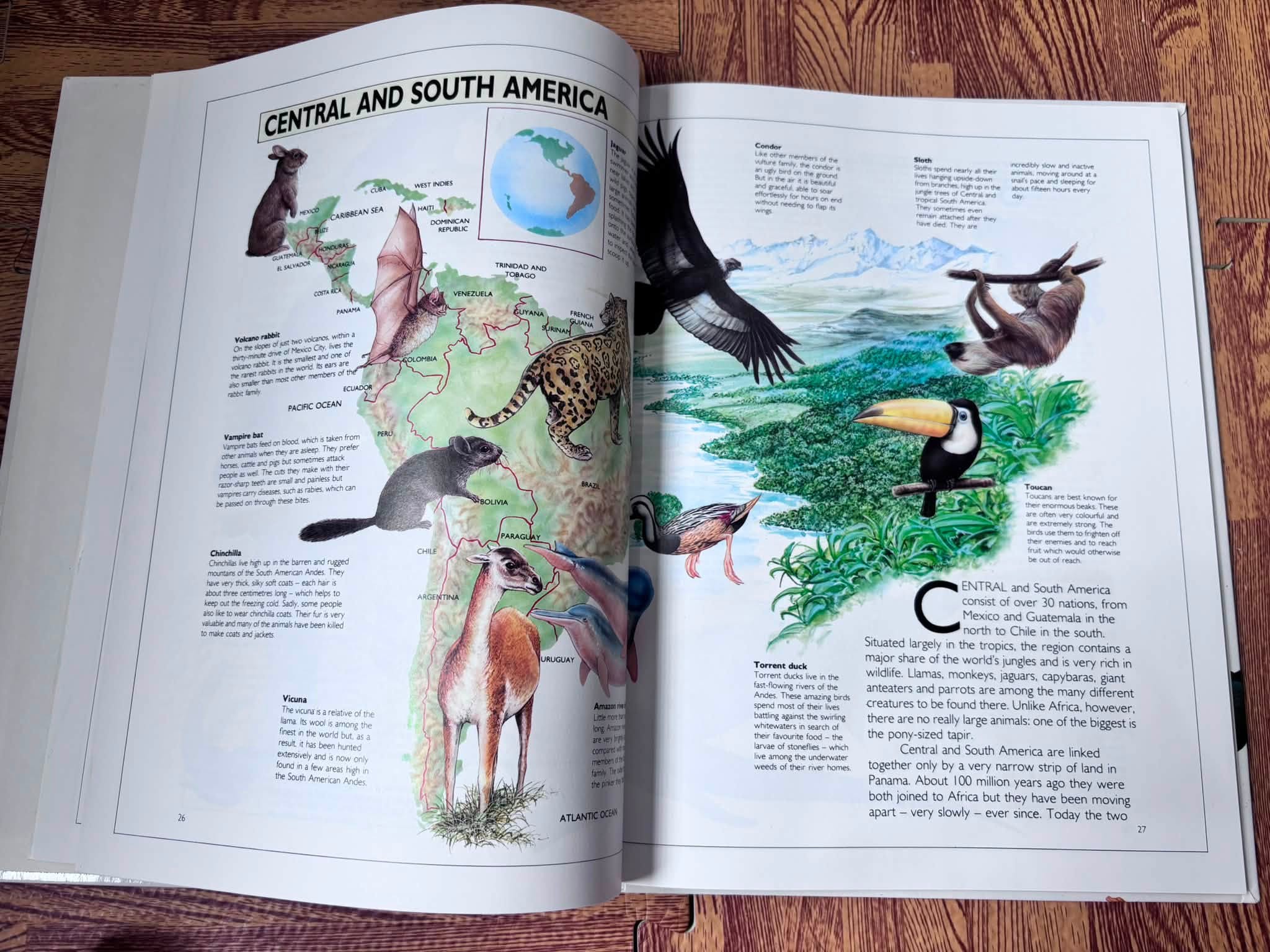 The Illustrated World of Wild Animals image 3