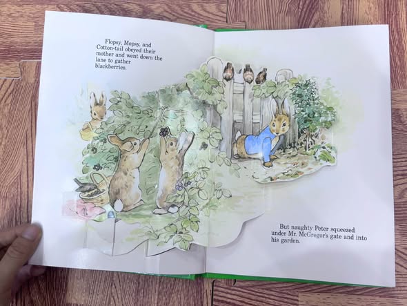 SET SÁCH DỰNG HÌNH POP-UP PETER RABBIT — ảnh 4