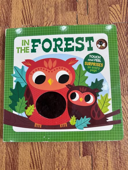 IN THE FOREST (TOUCH AND FEEL)
