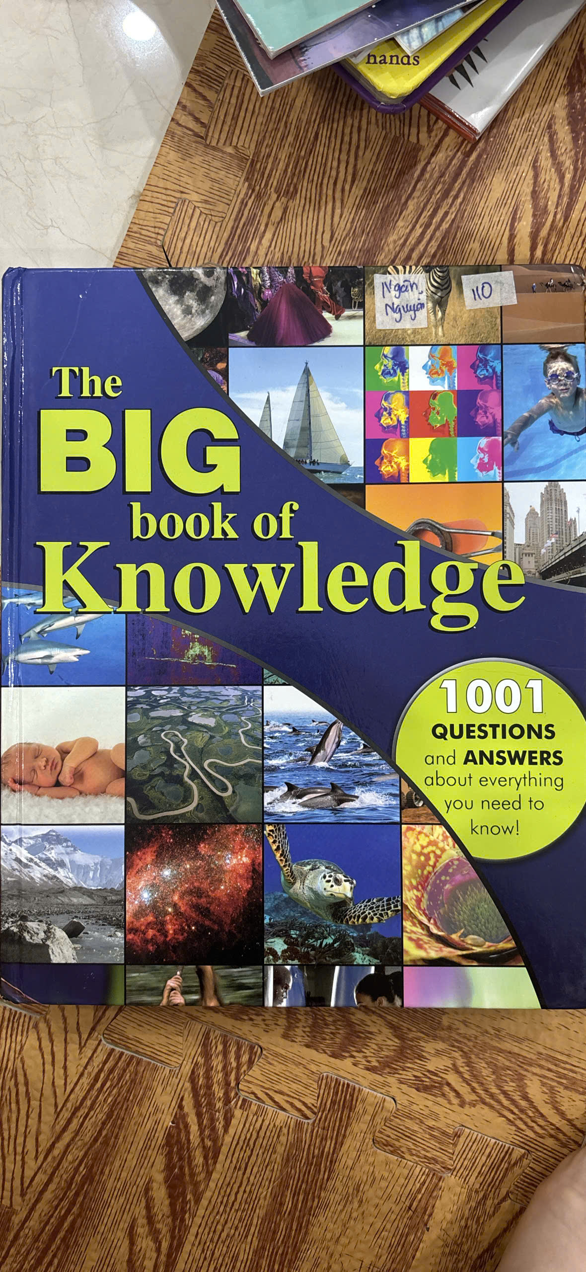 The Big Book of Knowledge