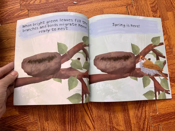 SPRING IS HERE! (HEIDI PROSS GRAY) — ảnh 5